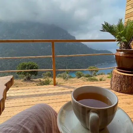 Olive Garden Kabak
