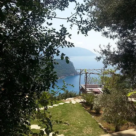 홀리데이파크 Olive Garden Kabak 2*