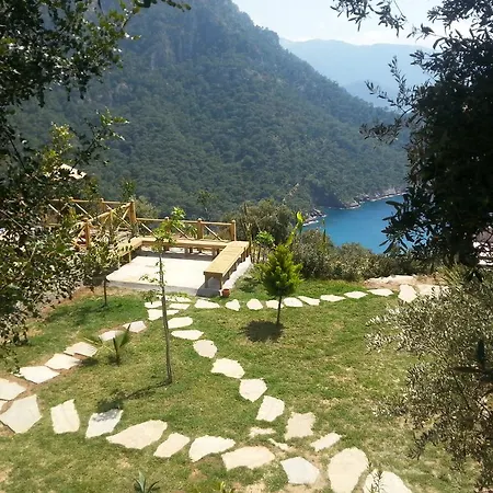 Olive Garden Kabak 2*