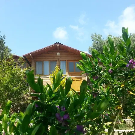 Olive Garden Kabak