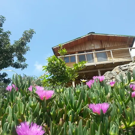 Olive Garden Kabak 홀리데이파크 2*