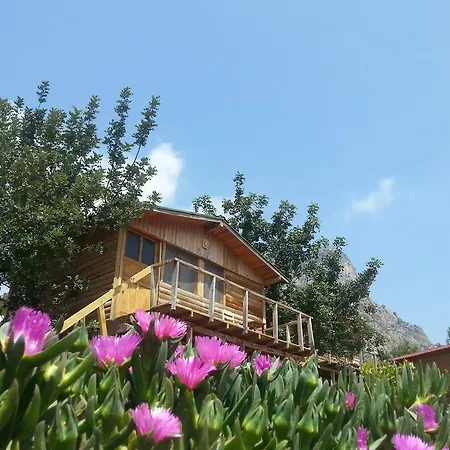 홀리데이파크 Olive Garden Kabak 파랄리아