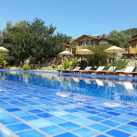 홀리데이파크 Olive Garden Kabak 2*