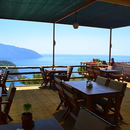 Olive Garden Kabak 파랄리아