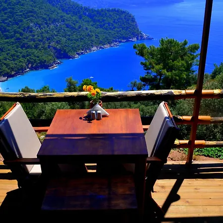 홀리데이파크 Olive Garden Kabak 2*