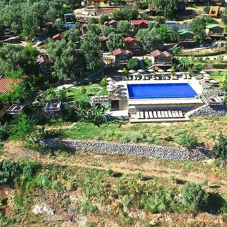 Olive Garden Kabak 파랄리아